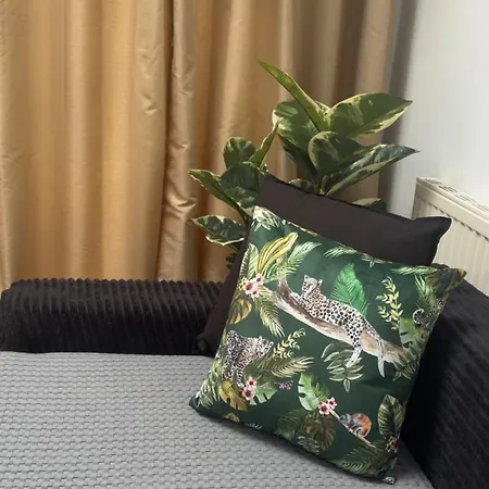 Pansiyon Cozy Retreat Room, Sheared House *